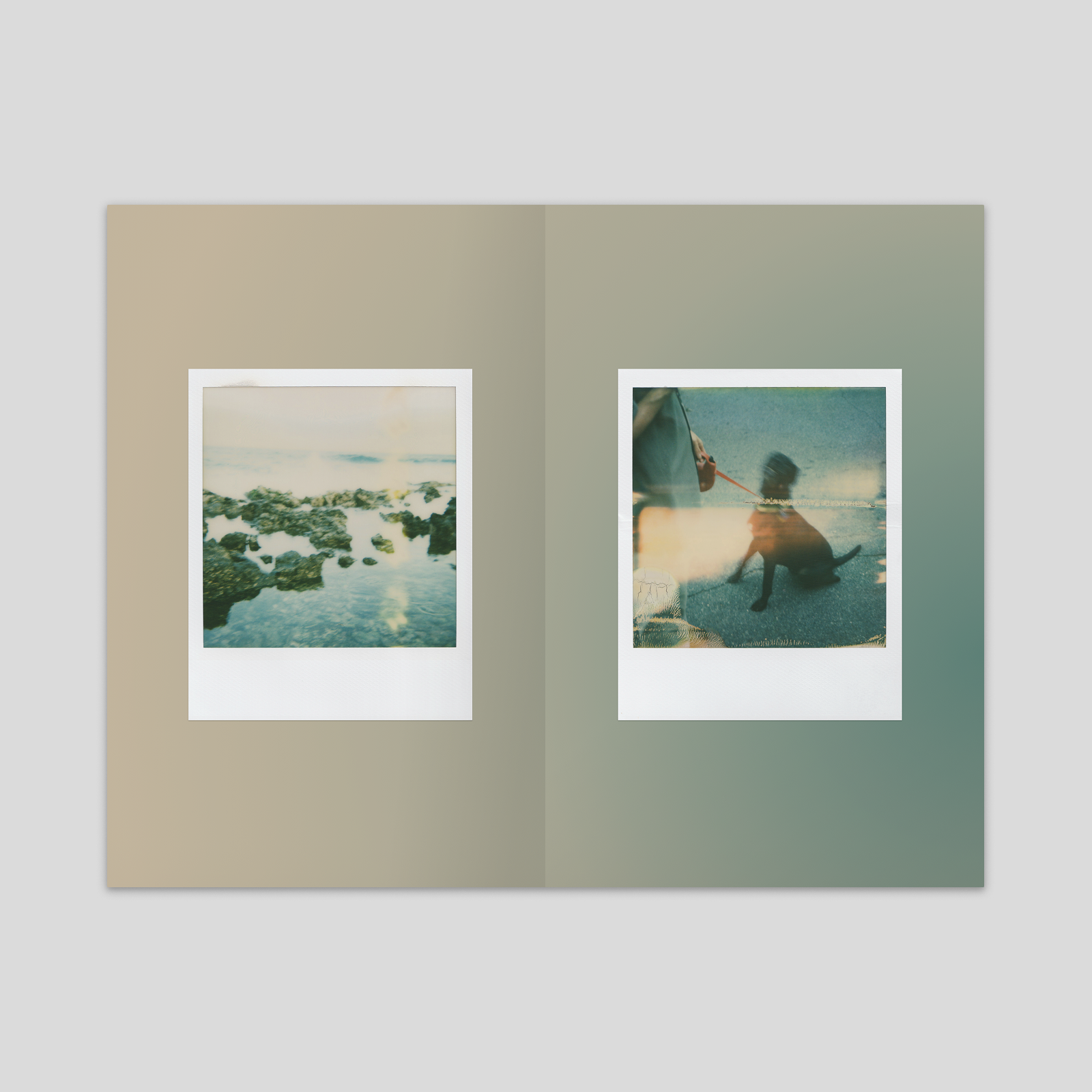 Latent — Spread 03